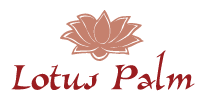 Lotus Palm (image for) Lotus Palm